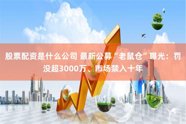 股票配资是什么公司 最新公募“老鼠仓”曝光：罚没超3000万、市场禁入十年
